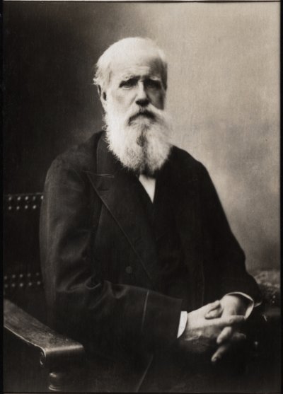 Portrait of Dom Pedro II, Emperor of Brazil by French Photographer